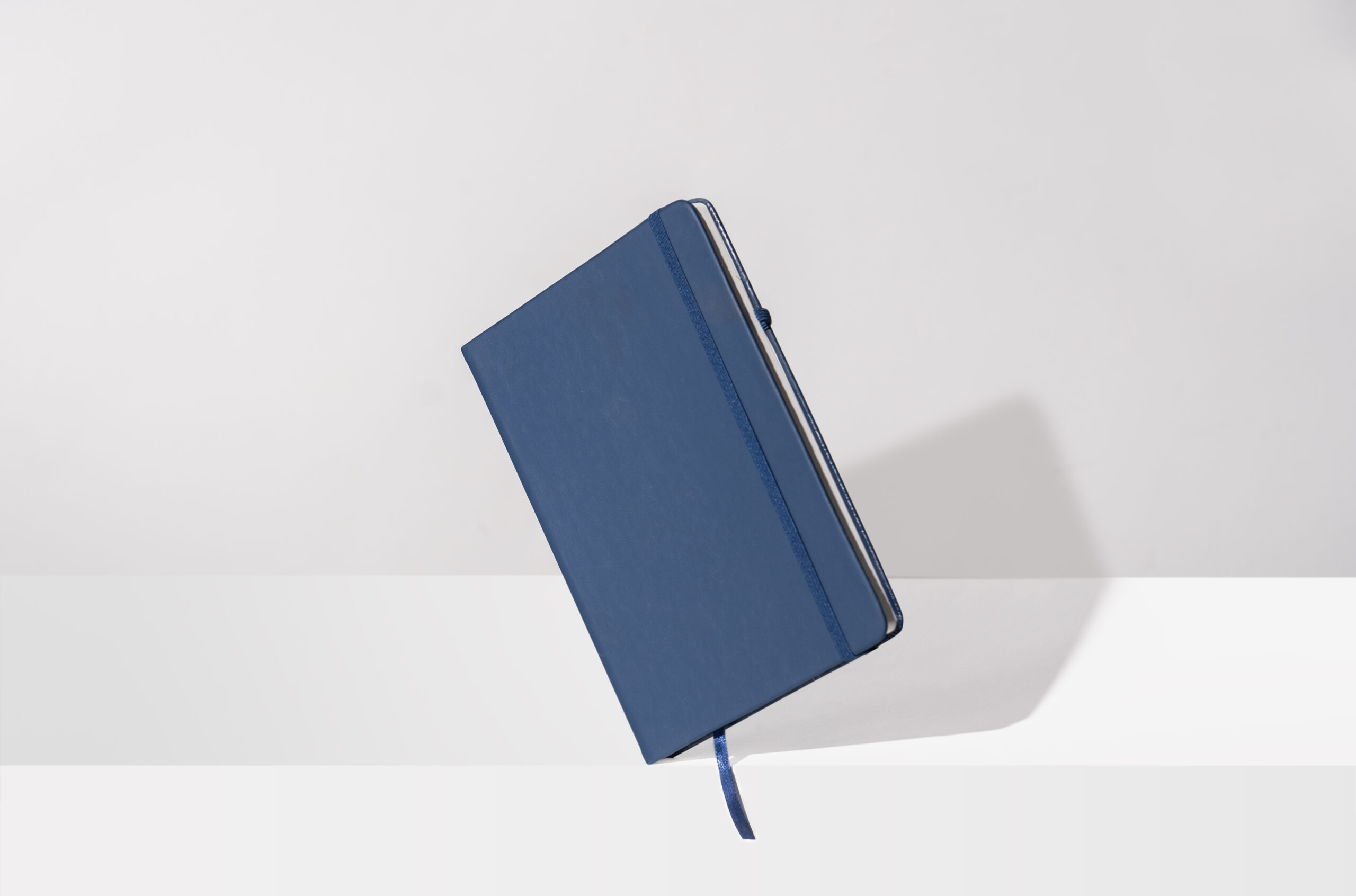 PB_Diary 006